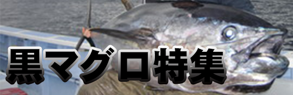 黒マグロ特集