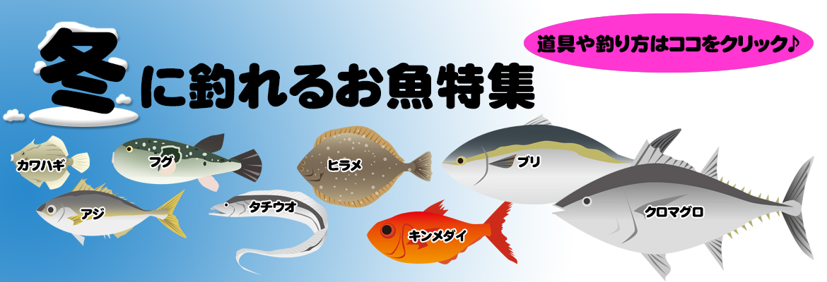 冬に釣れるお魚特集