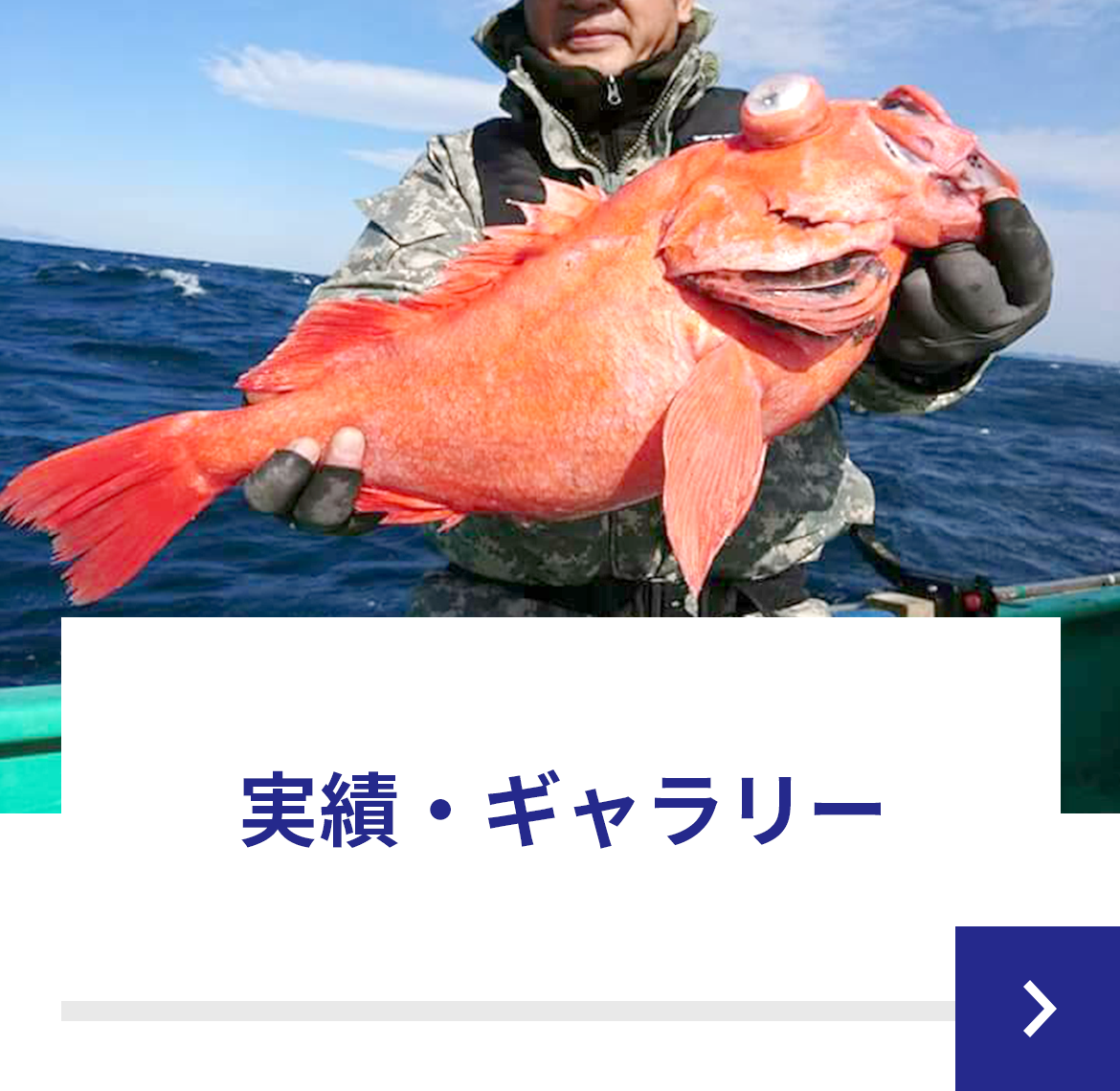 実績・ギャラリー