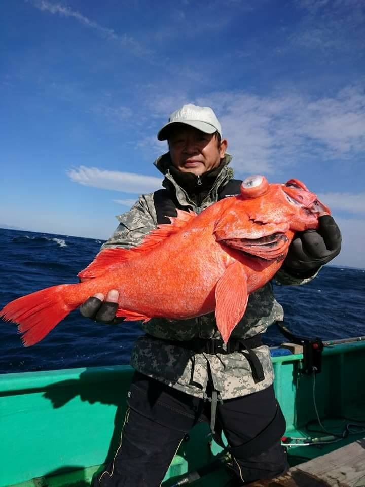 (太平洋 2017年)