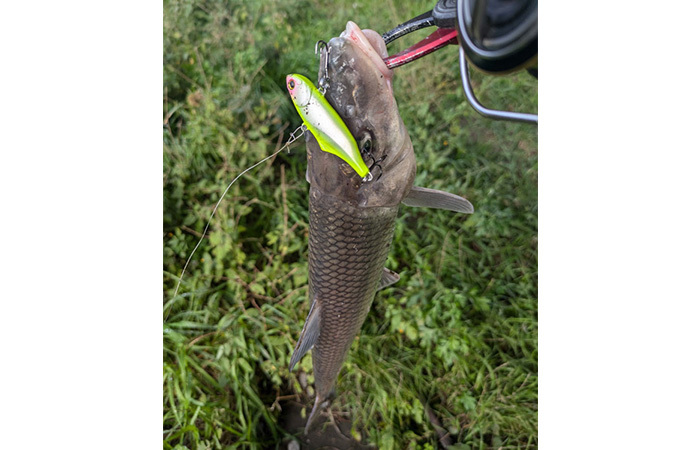お客様釣果写真